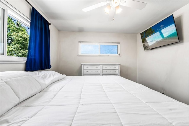 17331 Newland St, Huntington Beach, CA 92647 - bedroom with multiple windows and a ceiling fan