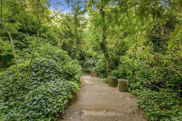 6036 Rainbow Heights Rd, Fallbrook, CA 92028 - view of home's community featuring a forest view
