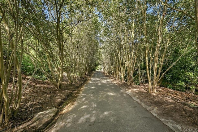 6036 Rainbow Heights Rd, Fallbrook, CA 92028 - view of street