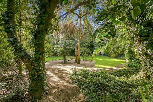 6036 Rainbow Heights Rd, Fallbrook, CA 92028 - view of home's community with a lawn