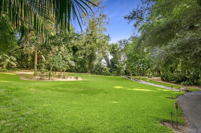 6036 Rainbow Heights Rd, Fallbrook, CA 92028 - view of green lawn with view of wooded area