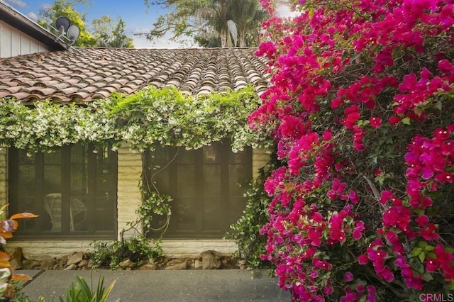 6036 Rainbow Heights Rd, Fallbrook, CA 92028 - view of exterior entry with a tile roof