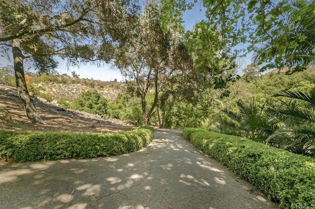 6036 Rainbow Heights Rd, Fallbrook, CA 92028 - view of street