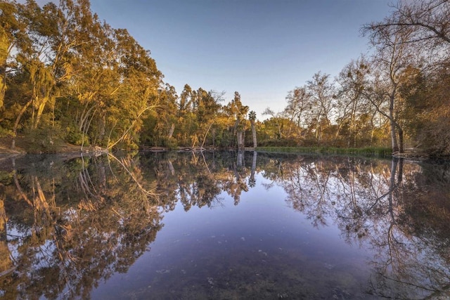 6036 Rainbow Heights Rd, Fallbrook, CA 92028 - water view featuring a heavily wooded area