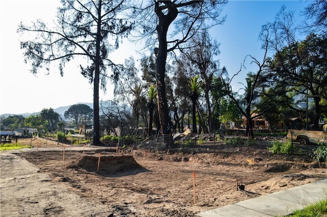 3111 Fair Oaks Ave, Altadena, CA 91001