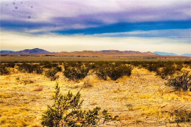 777 Valley Wells Rd, Hinkley, CA 92347