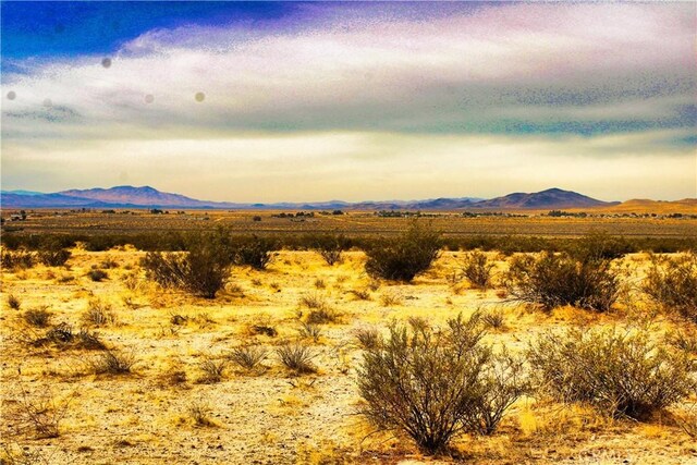 777 Valley Wells Rd, Hinkley, CA 92347