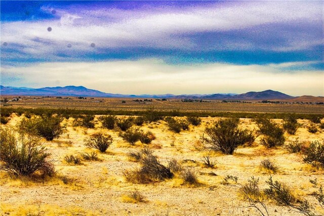 777 Valley Wells Rd, Hinkley, CA 92347