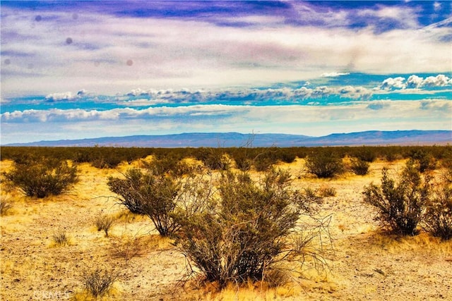 777 Valley Wells Rd, Hinkley, CA 92347