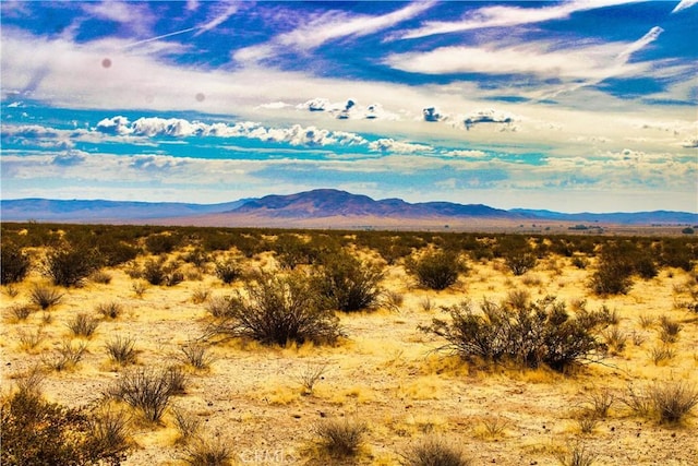 777 Valley Wells Rd, Hinkley, CA 92347