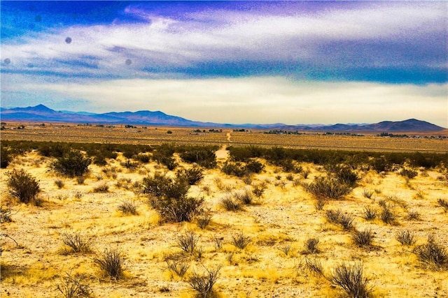 777 Valley Wells Rd, Hinkley, CA 92347