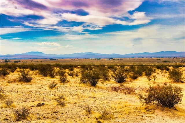 777 Valley Wells Rd, Hinkley, CA 92347