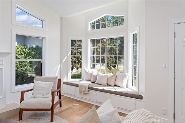 living area with healthy amount of natural light, light wood finished floors, and a high ceiling