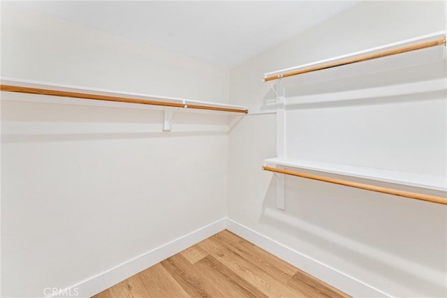 walk in closet with light wood-type flooring