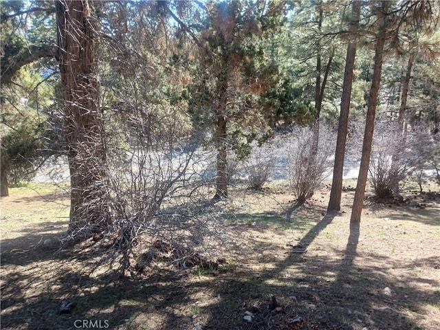 0 Big Bear Blvd, Big Bear City, CA 92314 - photo 2