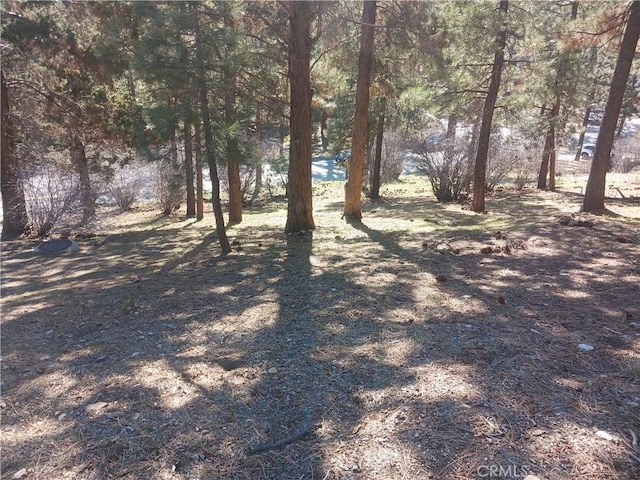 0 Big Bear Blvd, Big Bear City, CA 92314 - photo 5
