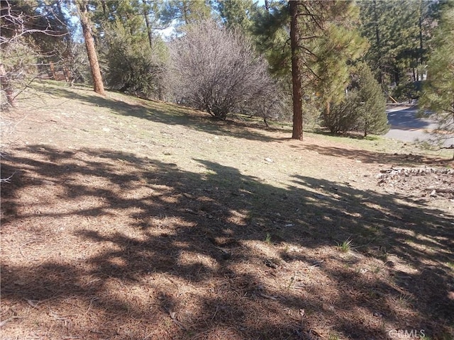 0 Big Bear Blvd, Big Bear City, CA 92314 - photo 1