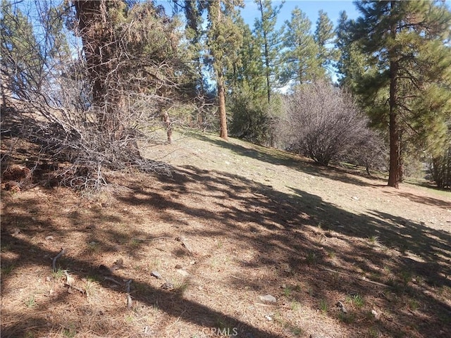 0 Big Bear Blvd, Big Bear City, CA 92314 - photo 4
