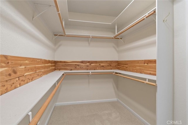 43 Edgewater Ct, Chico, CA 95928 - walk in closet featuring carpet floors