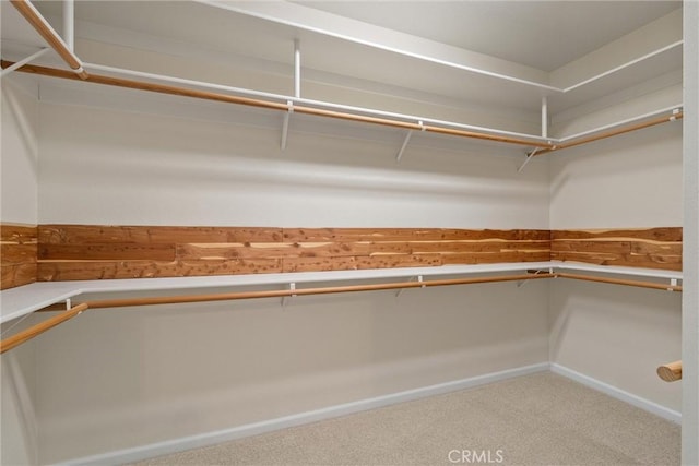 43 Edgewater Ct, Chico, CA 95928 - walk in closet featuring carpet