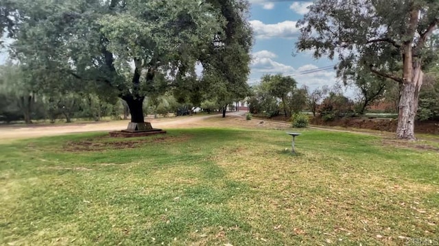 3130 E Victoria Dr, Alpine, CA 91901 - view of green lawn