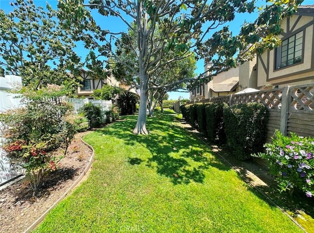 4909 New Castle Ln Unit A, Covina, CA 91724 - view of yard