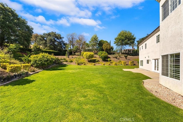 1036 Alpine Ct, Chino Hills, CA 91709 - view of green lawn featuring a patio area