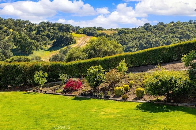 1036 Alpine Ct, Chino Hills, CA 91709 - view of grassy yard