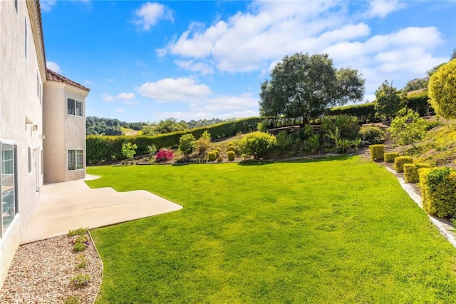 1036 Alpine Ct, Chino Hills, CA 91709 - view of green lawn with a patio area