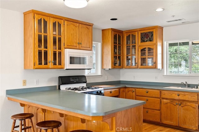 11111 Yankee Hill Rd, Oroville, CA 95965 - photo 13