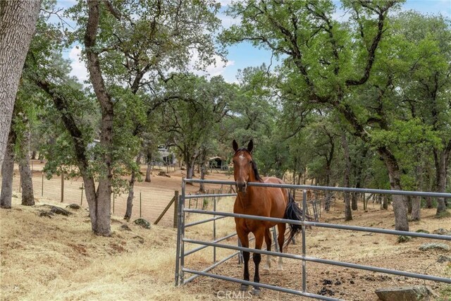 11111 Yankee Hill Rd, Oroville, CA 95965 - photo 33
