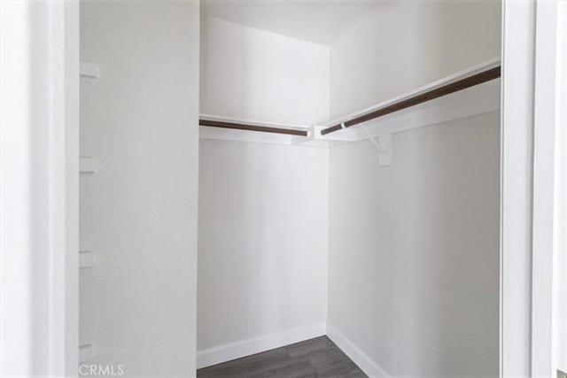 spacious closet with dark wood-style floors