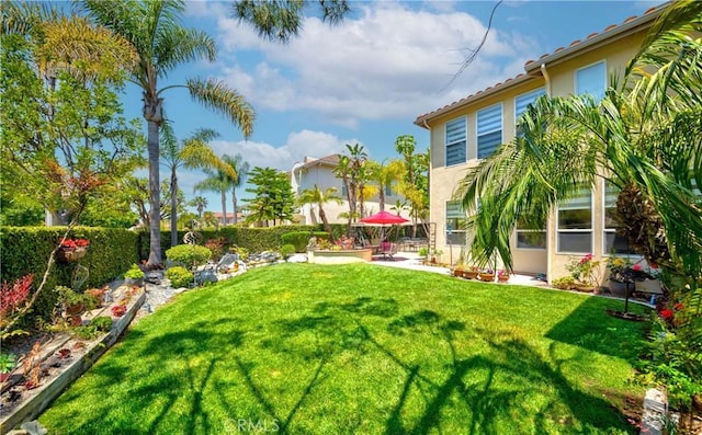 2101 S Sanders Ct, La Habra, CA 90631 - view of green lawn featuring a patio area