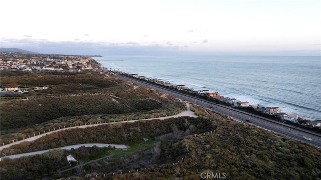 135 Via Artemesia, San Clemente, CA 92672 - aerial view of property's location featuring a large body of water