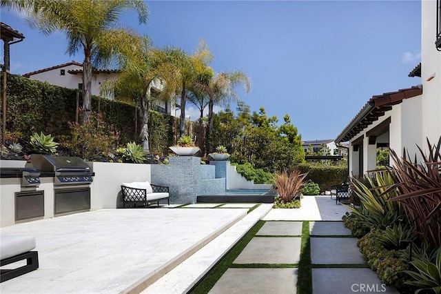 135 Via Artemesia, San Clemente, CA 92672 - fenced backyard featuring area for grilling and a patio area