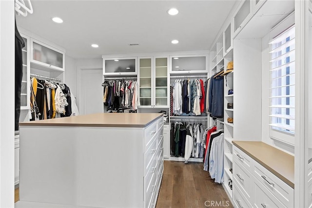 135 Via Artemesia, San Clemente, CA 92672 - spacious closet with dark wood-style floors