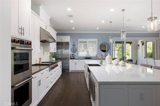 135 Via Artemesia, San Clemente, CA 92672 - kitchen featuring stainless steel appliances, under cabinet range hood, a spacious island, ornamental molding, and a sink
