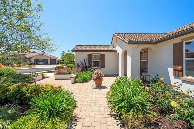 287 Tom Mcguinness Jr Cir, Fallbrook, CA 92028 - view of patio