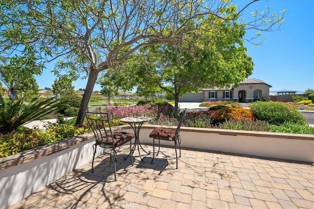 287 Tom Mcguinness Jr Cir, Fallbrook, CA 92028 - view of patio featuring an attached garage