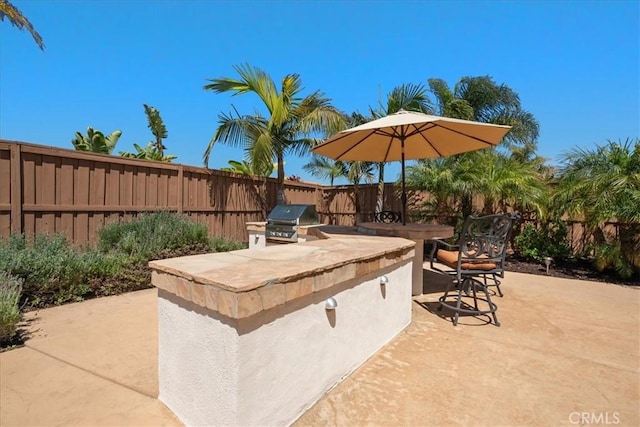 287 Tom Mcguinness Jr Cir, Fallbrook, CA 92028 - fenced backyard with a patio area