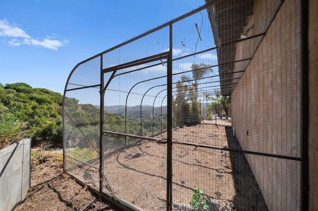 879 Stewart Canyon Rd, Fallbrook, CA 92028 - view of yard