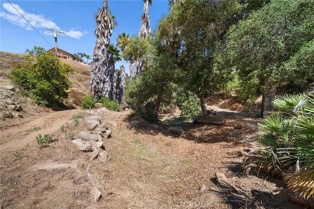 879 Stewart Canyon Rd, Fallbrook, CA 92028 - view of nature