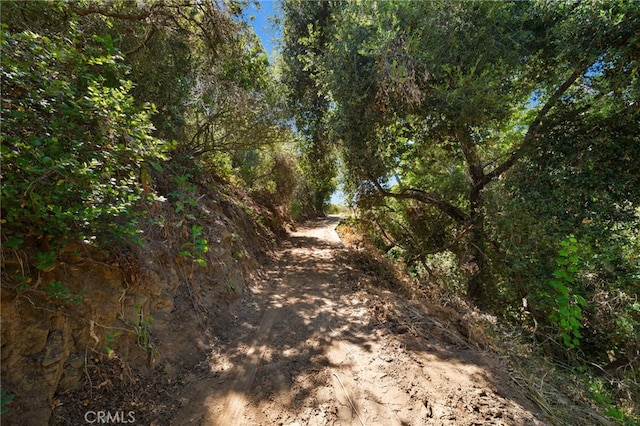 879 Stewart Canyon Rd, Fallbrook, CA 92028 - view of street