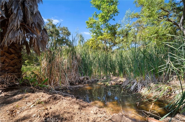 879 Stewart Canyon Rd, Fallbrook, CA 92028 - view of undeveloped land