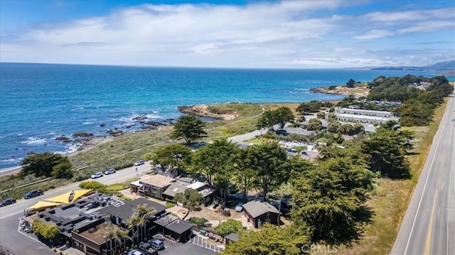 6570 Moonstone Beach Dr, Cambria, CA 93428 - bird's eye view of a large body of water