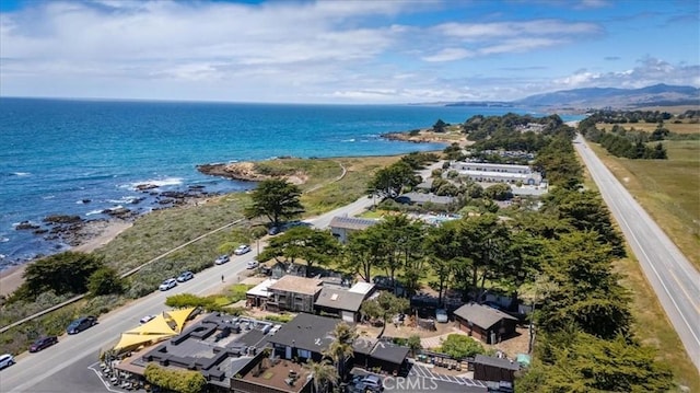 6570 Moonstone Beach Dr, Cambria, CA 93428 - aerial view of a large body of water