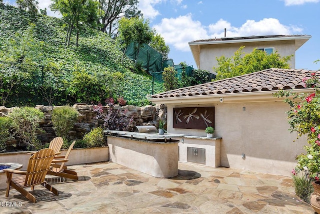 15450 Briarwood Dr, Sherman Oaks, CA 91403 - view of patio / terrace featuring an outdoor kitchen