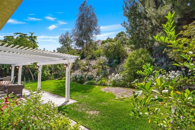 view of grassy yard featuring a pergola and a patio