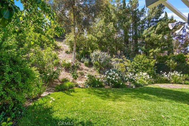 view of grassy yard