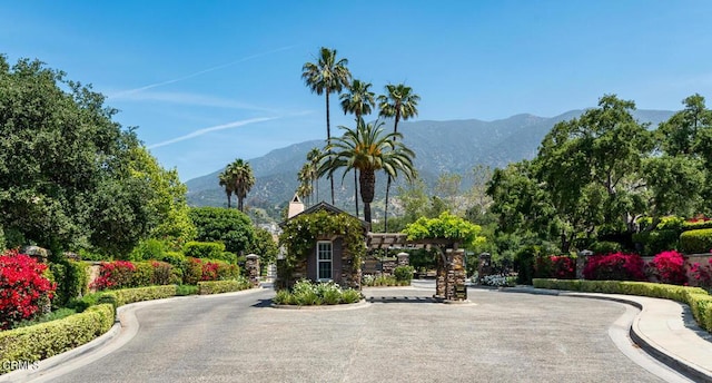 3873 Lilac Canyon Ln, Altadena, CA 91001